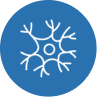 Nerve Pain & Neuropathy